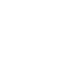MP Company